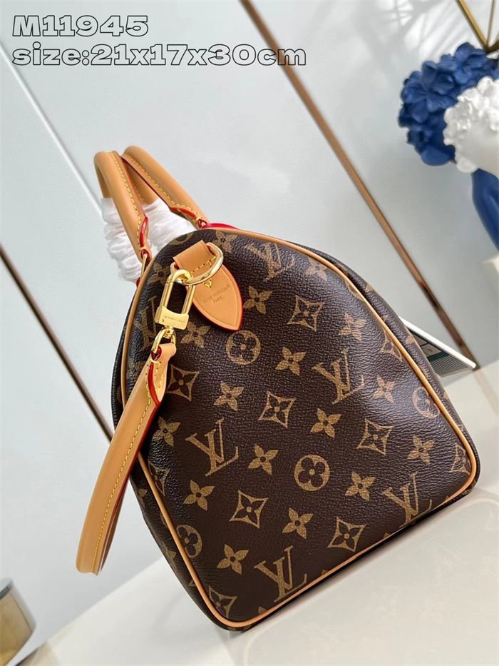 Louis Vuitton Speedy Soft 30 Crafty Monogram Coated canvas M11945 High