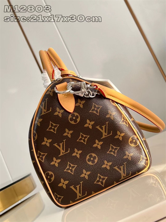 Louis Vuitton Speedy Soft 30 Crafty Monogram Coated canvas M12803 High