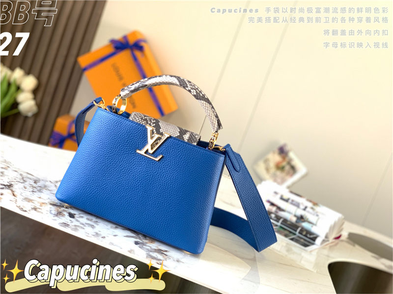 Louis Vuitton CAPUCINES BB Taurillon Blue M48865 High