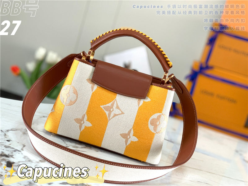 Louis Vuitton CAPUCINES BB Embroidery M57651 High