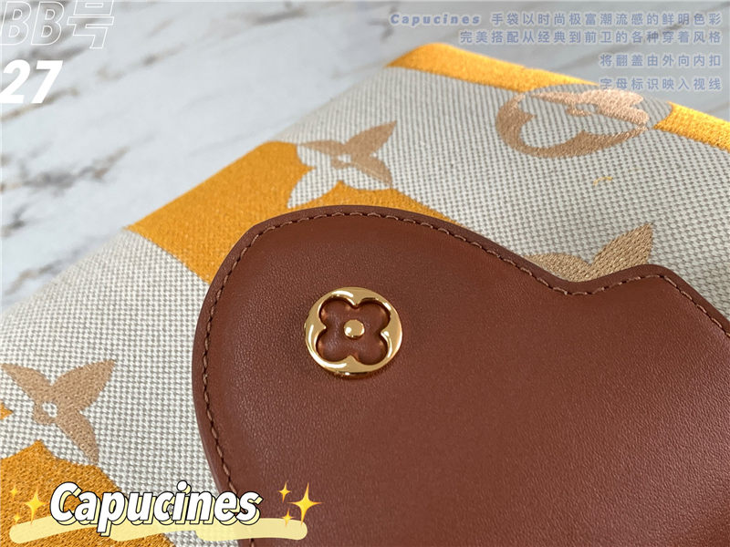 Louis Vuitton CAPUCINES BB Embroidery M57651 High