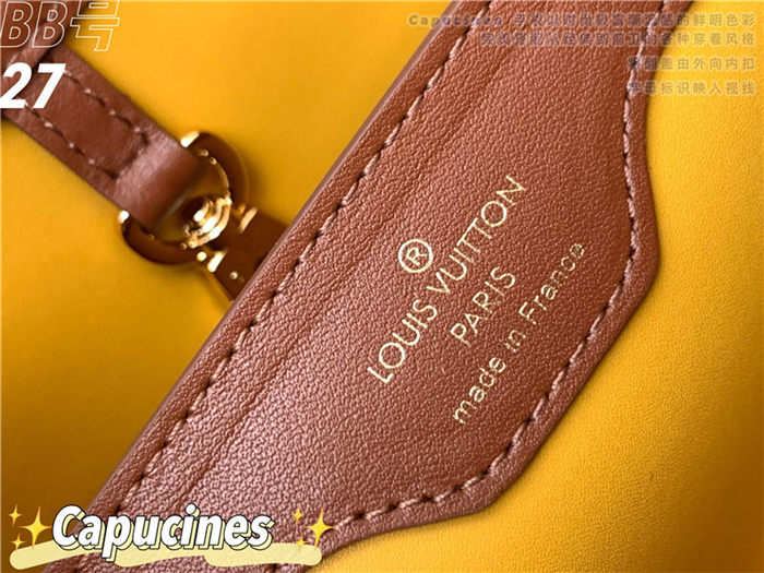 Louis Vuitton CAPUCINES BB Embroidery M57651 High