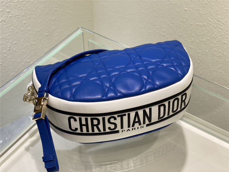 Dior VIBE BAG Blue High