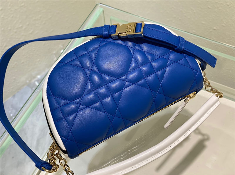 SMALL Dior VIBE Hobo Bag Calfskin Blue High