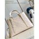 Louis Vuitton Babylone Tote PM Monogram Empreinte M11194 High