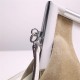 Fendi First Small Leather bag silver and light brown inlay High