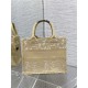 SMALL Dior BOOK TOTE D-Lace Embroidery with Macramé Effect High