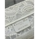 SMALL Dior BOOK TOTE D-Lace Embroidery with Macramé Effect High