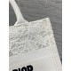 SMALL Dior BOOK TOTE D-Lace Embroidery with Macramé Effect High