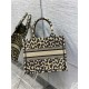 SMALL Dior BOOK TOTE Multicolor Mizza Embroidery Beige High