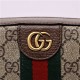 Gucci Ophidia small shoulder bag 681064 High