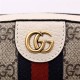 Gucci Ophidia small shoulder bag 681064 High