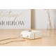 SMALL BOX WITH CHAIN Lambskin & Gold-Tone Metal White AP2656 High