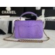 MINI FLAP BAG WITH TOP HANDLE AS2431 Snake Purpel High