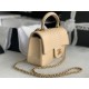 MINI FLAP BAG WITH TOP HANDLE AS2431 Snake Beige High