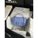 MINI FLAP BAG WITH TOP HANDLE AS2431 Snake Blue High