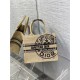 SMALL Dior BOOK TOTE Jute Canvas Embroidered with Dior Union Motif High