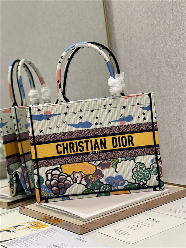 MEDIUM Dior BOOK TOTE Dior Ciel de Rêve Embroidery High