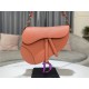 SADDLE BAG Iridescent-finish metal Grained Calfskin Coral High