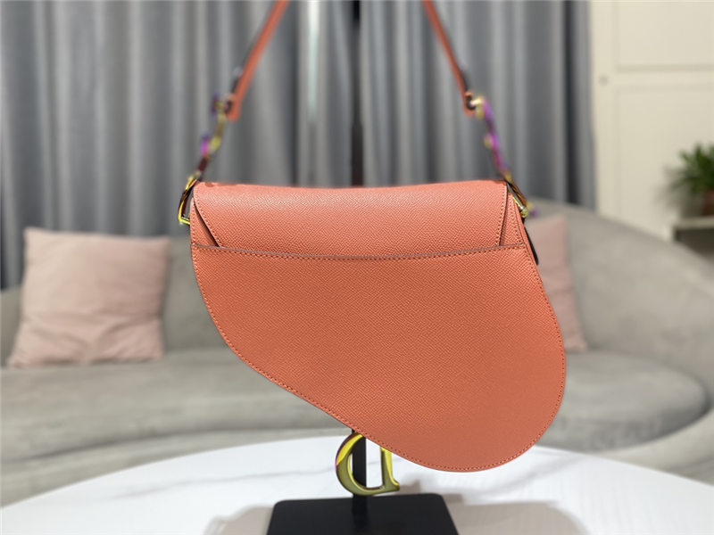 SADDLE BAG Iridescent-finish metal Grained Calfskin Coral High