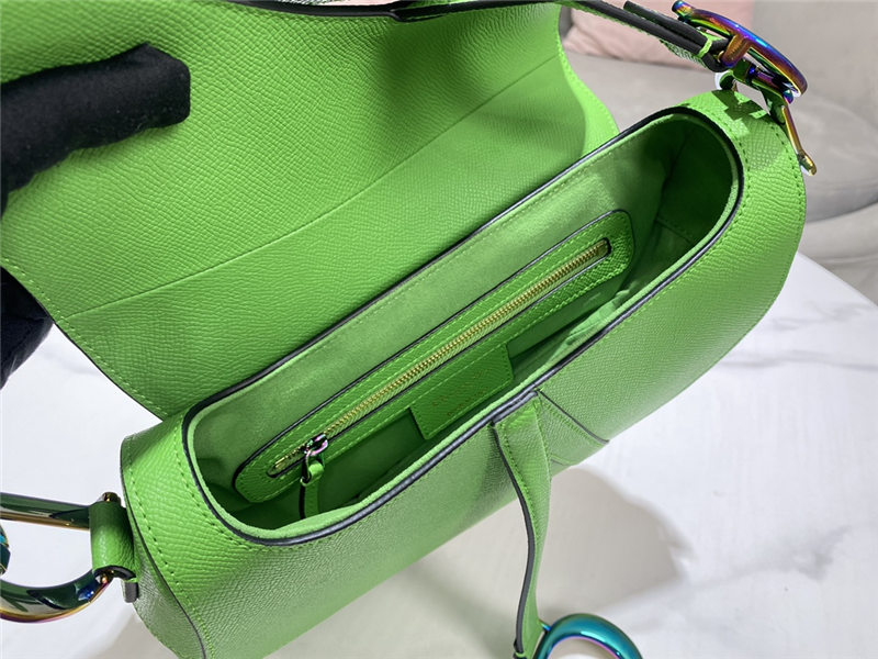 SADDLE BAG Iridescent-finish metal Grained Calfskin Green High