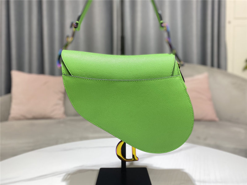 SADDLE BAG Iridescent-finish metal Grained Calfskin Green High