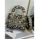 MINI LADY D-LITE BAG Mizza Embroidery Beige High