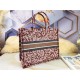 LARGE Dior BOOK TOTE Brocart Embroidery High