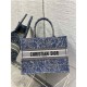 MEDIUM Dior BOOK TOTE Brocart Embroidery High