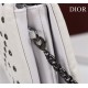 MEDIUM Dior CARO BAG Lucky Star Cannage Lambskin White High