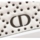 SMALL Dior CARO BAG Lucky Star Cannage Lambskin White High