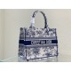 MEDIUM Dior BOOK TOTE Dior Jardin Botanique Embroidery Blue High