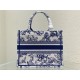 SMALL Dior BOOK TOTE Dior Jardin Botanique Embroidery Blue High