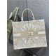 LARGE Dior BOOK TOTE Dior Rêve d'Infini Embroidery Gold High