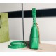 Aphrodite small shoulder bag 731817 Leather Green High