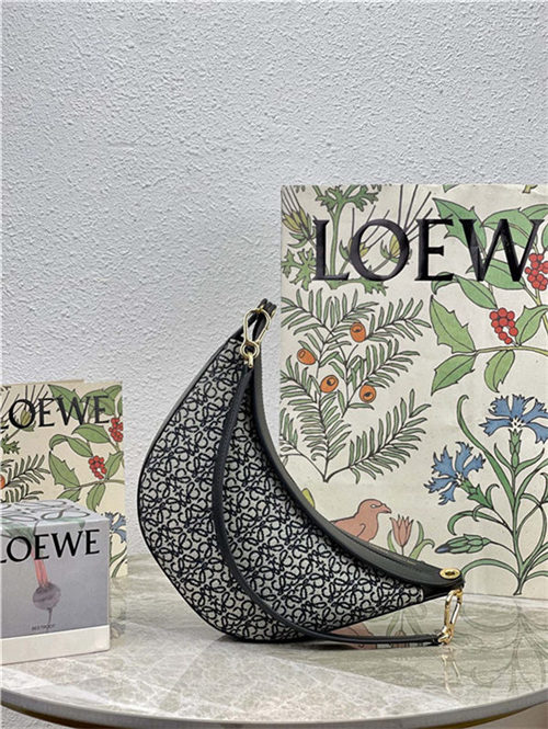 Small LOEWE Luna bag in Anagram jacquard and classic calfskin Black High