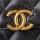 Chanel Wallet on Chain AP3021 Grained Calfskin & Gold-Tone Metal Black A