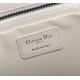 Dior LARGE SHOPPING TOTE Pewter-Metal White High