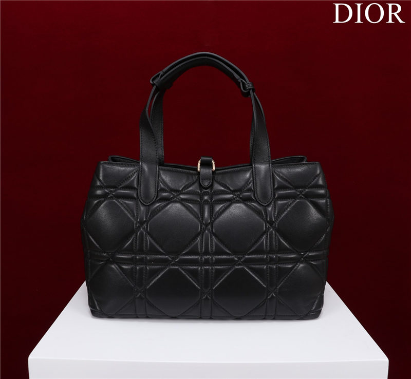 Dior SMALL SHOPPING TOTE Gold-Metal Black High