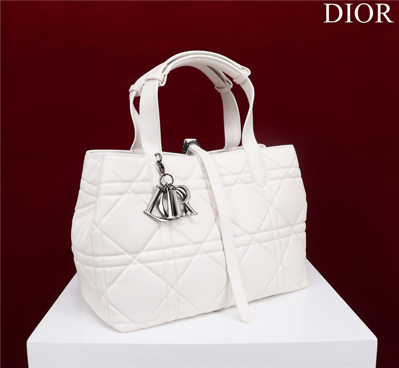 Dior SMALL SHOPPING TOTE Pewter-Metal White High