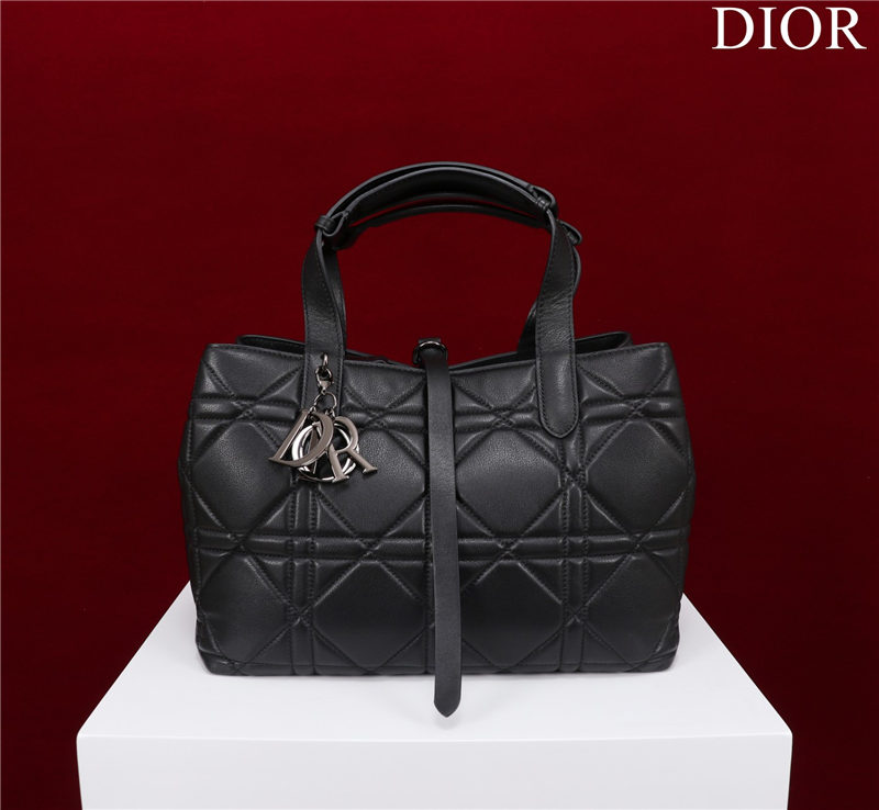 Dior SMALL SHOPPING TOTE Pewter-Metal Black High