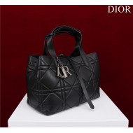 Dior SMALL SHOPPING TOTE Pewter-Metal Black High