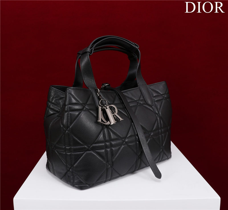 Dior SMALL SHOPPING TOTE Pewter-Metal Black High