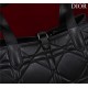 Dior SMALL SHOPPING TOTE Pewter-Metal Black High