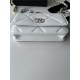 Chanel 19 WALLET ON CHAIN Shiny Lambskin, Gold/Silver-Tone & Ruthenium-Finish Metal White A