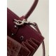 CLASSIC SAC DE JOUR NANO IN Crocodile Burgundy High