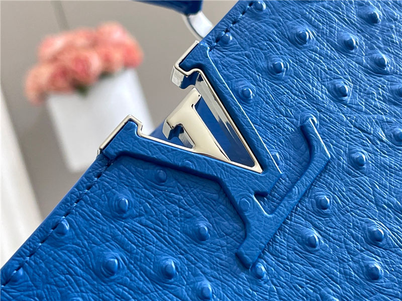 Louis Vuitton Capucines BB Ostrich leather M95393/M48865 Blue High