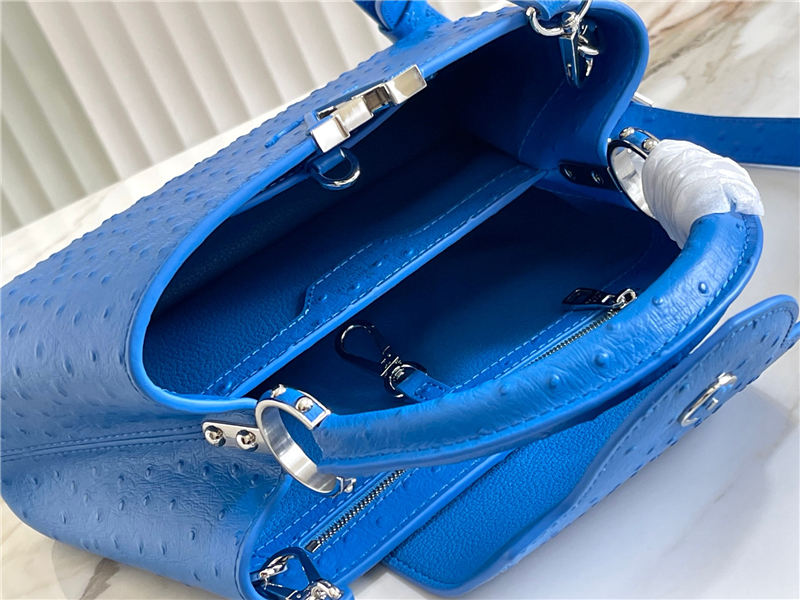 Louis Vuitton Capucines BB Ostrich leather M95393/M48865 Blue High