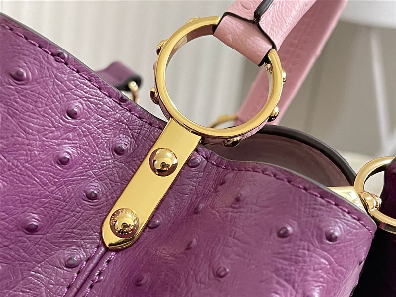 Louis Vuitton Capucines BB Ostrich leather M95393/M48865 Purple High