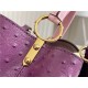 Louis Vuitton Capucines BB Ostrich leather M95393/M48865 Purple High